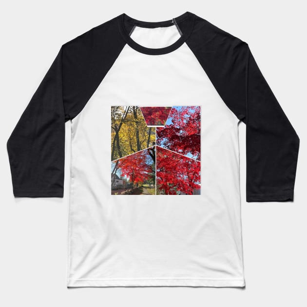 Foliage Collage Baseball T-Shirt by Barschall